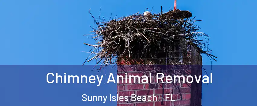  Chimney Animal Removal Sunny Isles Beach - FL