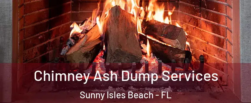  Chimney Ash Dump Services Sunny Isles Beach - FL