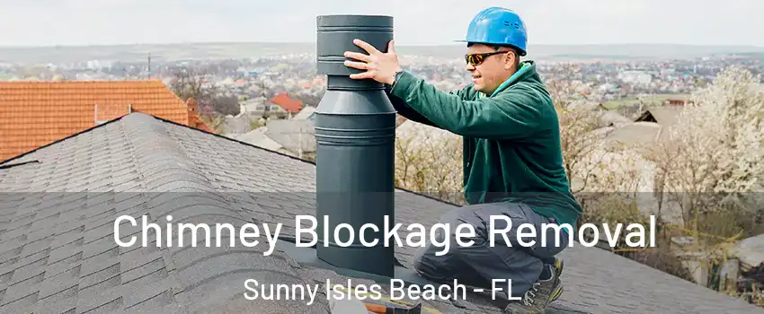  Chimney Blockage Removal Sunny Isles Beach - FL