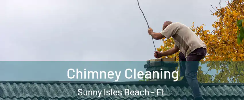  Chimney Cleaning Sunny Isles Beach - FL