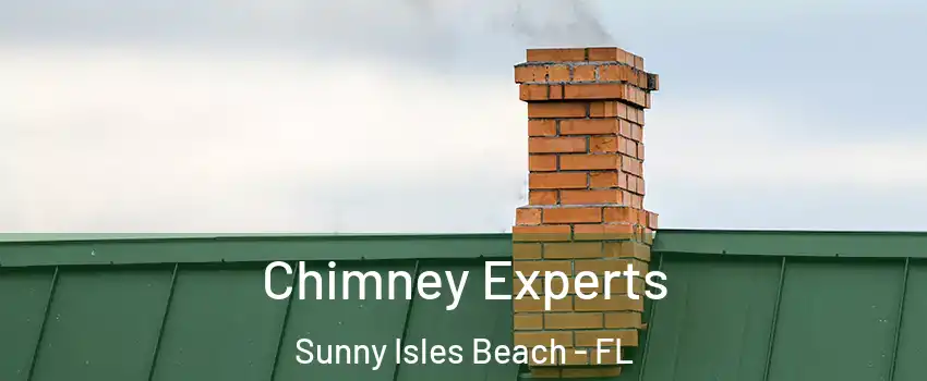 Chimney Experts Sunny Isles Beach - FL