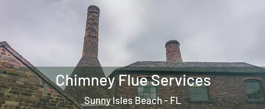  Chimney Flue Services Sunny Isles Beach - FL