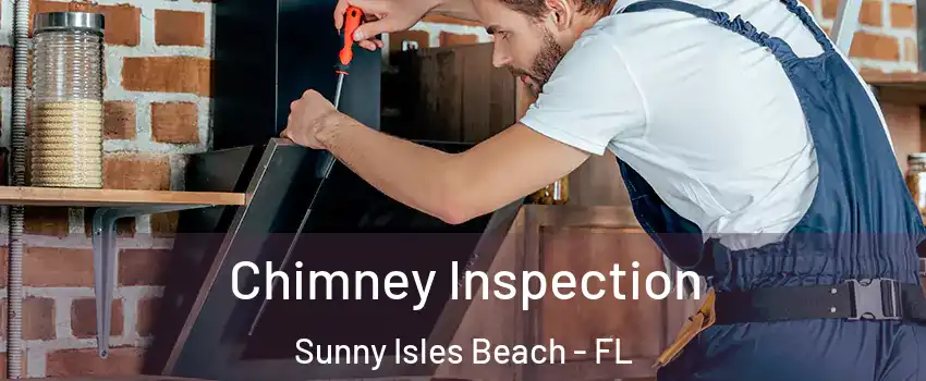  Chimney Inspection Sunny Isles Beach - FL