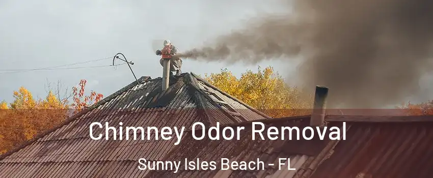  Chimney Odor Removal Sunny Isles Beach - FL