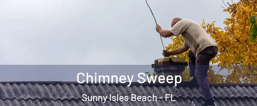  Chimney Sweep Sunny Isles Beach - FL