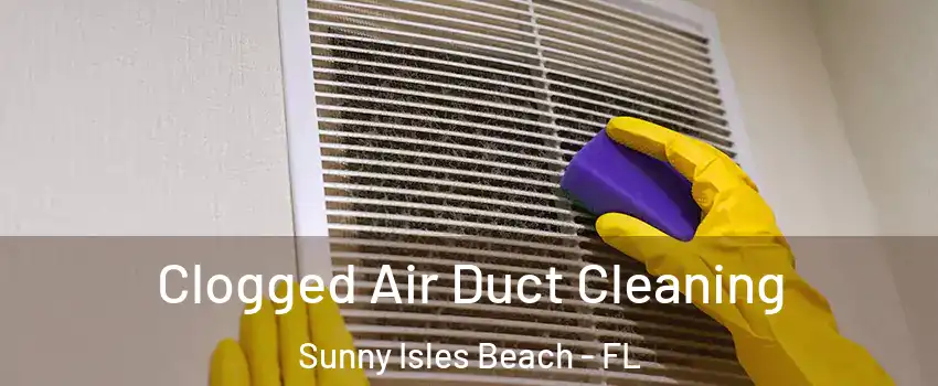  Clogged Air Duct Cleaning Sunny Isles Beach - FL