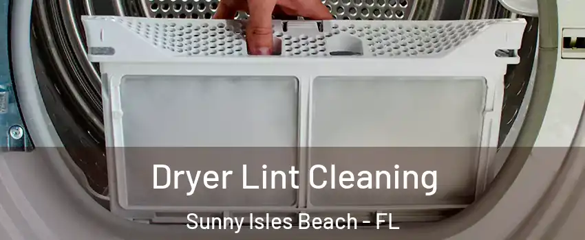  Dryer Lint Cleaning Sunny Isles Beach - FL