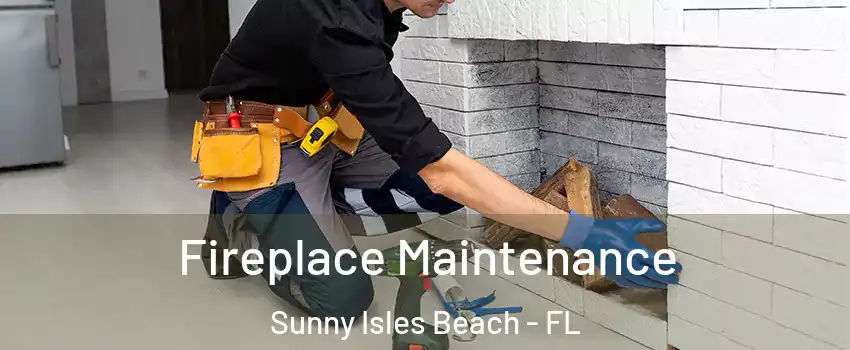  Fireplace Maintenance Sunny Isles Beach - FL
