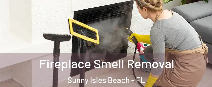  Fireplace Smell Removal Sunny Isles Beach - FL