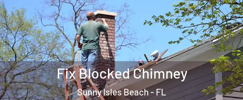  Fix Blocked Chimney Sunny Isles Beach - FL