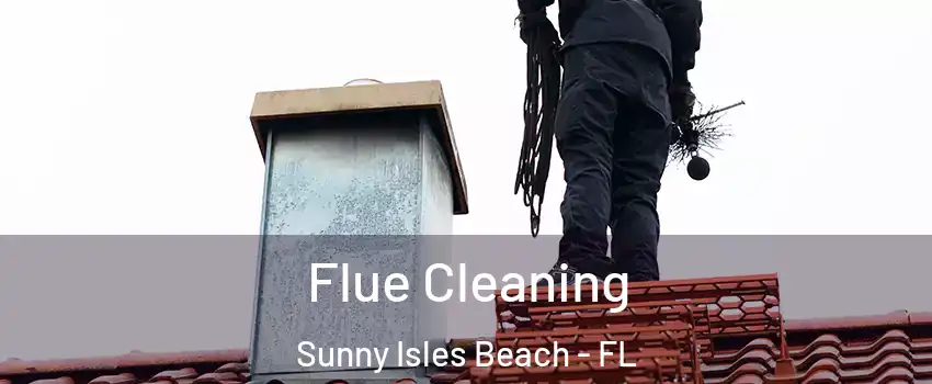  Flue Cleaning Sunny Isles Beach - FL