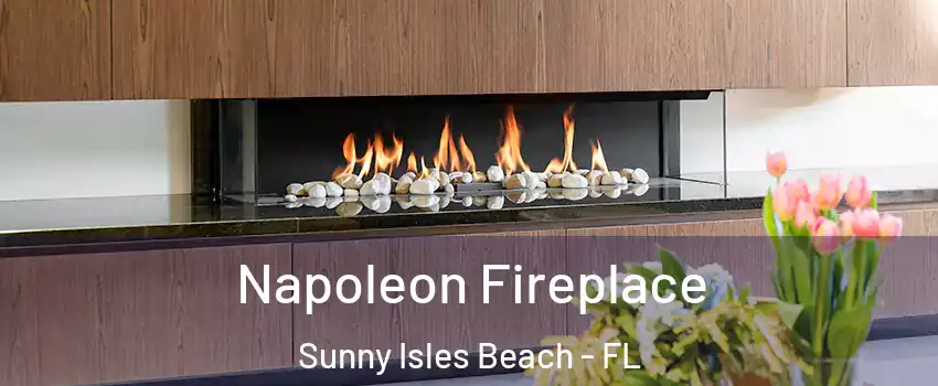  Napoleon Fireplace Sunny Isles Beach - FL