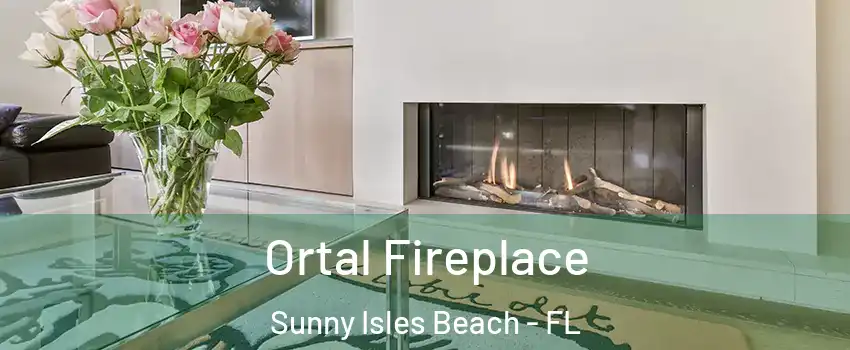  Ortal Fireplace Sunny Isles Beach - FL
